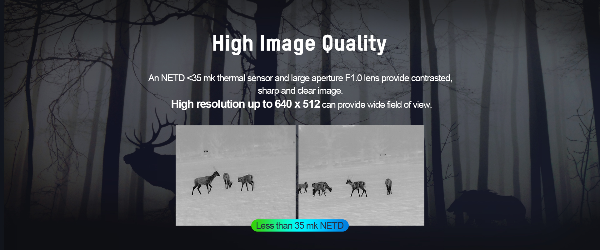01-High Image Quality_OWL.jpg