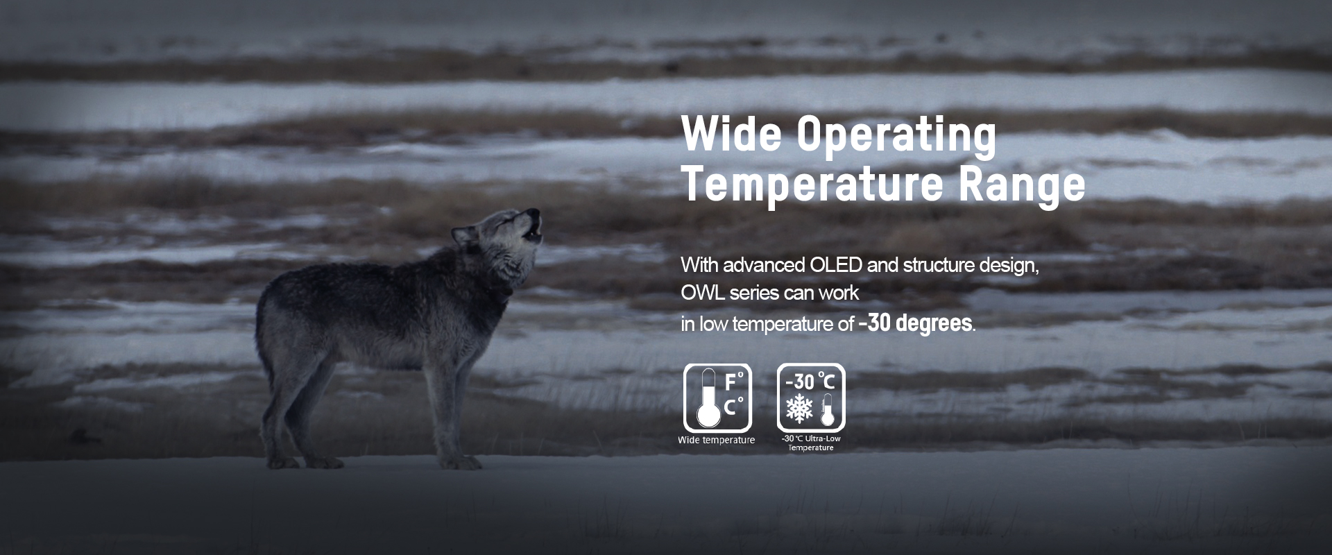 03-Wide Operating Temperature Range_OWL.jpg