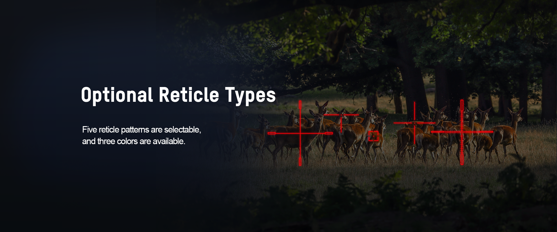 03-Optional Reticle Types-Scope-thunder  .png